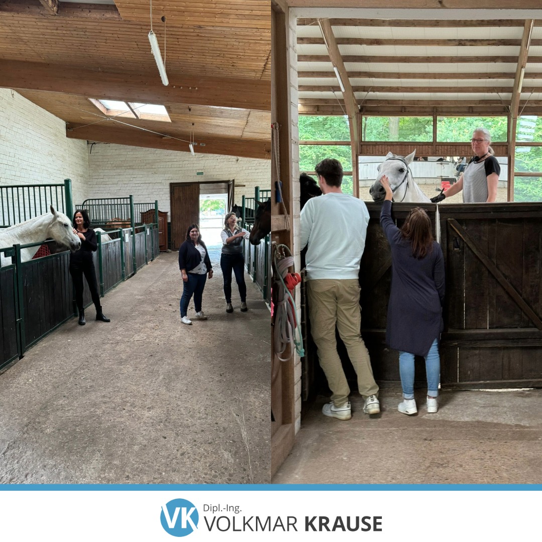 Betriebsausflug Reiterhof Volkmar Krause Pferdestall