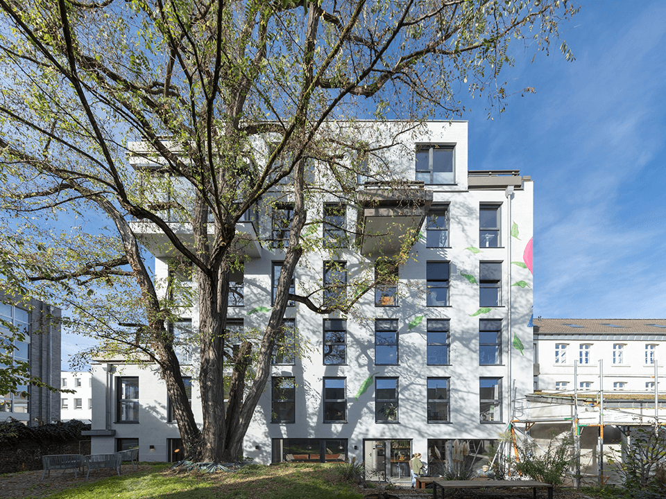 LichtHof Ehrenfeld Ansicht Baum